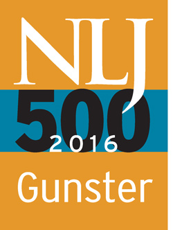 NLJ500 2016 - Gunster