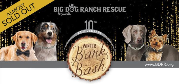 Big Dog Ranch Rescue's 10th Annual Winter Bark Bash