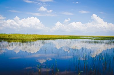 Four nonpartisan principles on Florida water