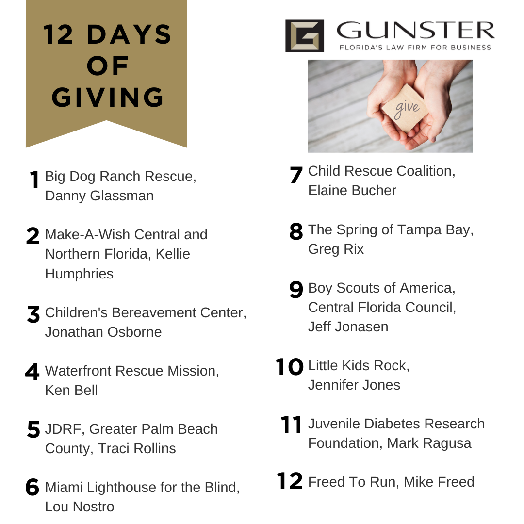 12 Days of Giving List