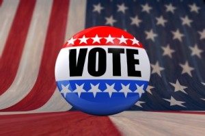 Florida's 2014 constitutional amendments - a voting guide